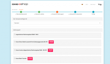 Unzer (Heidelpay) fr Oxid PE Premium | SourceGuardian verschlsselt Icon Nr 2